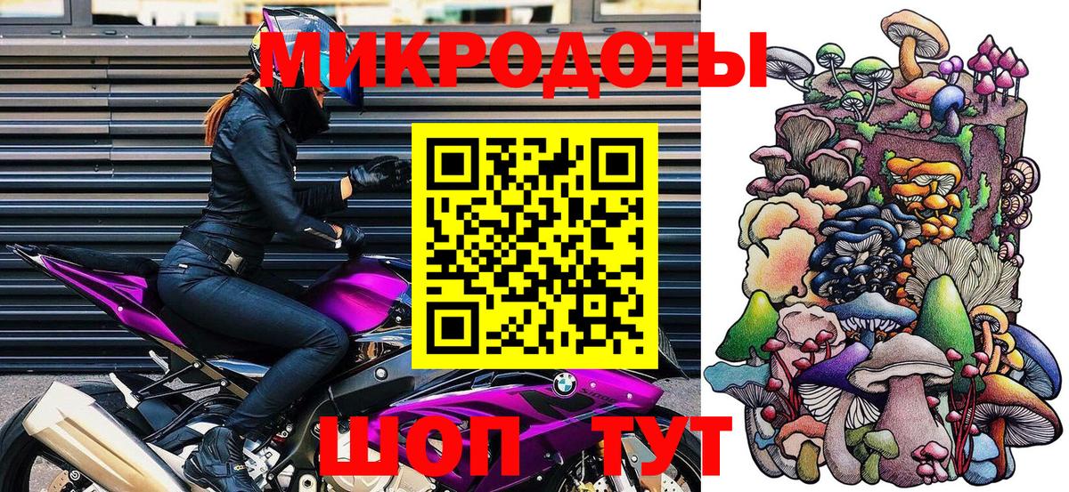 Псилоцибиновые грибы Psilocybe Боровичи